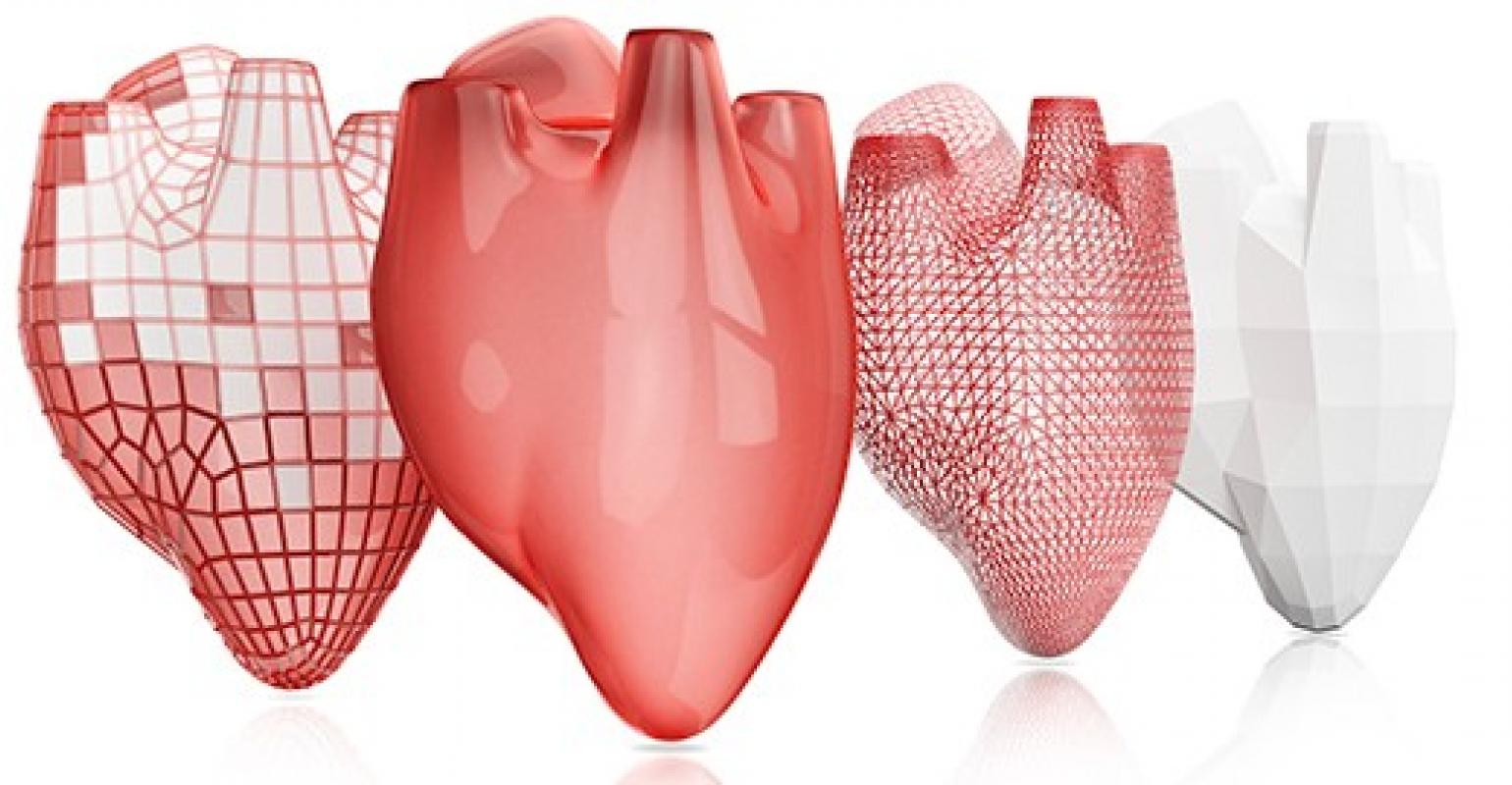 3D Bioprinting of Living Human Tissues Organs Market