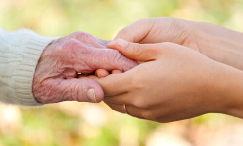 Elderly Care Services Market