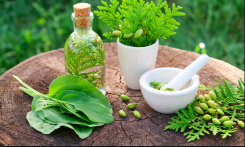 India Herbal Personal Care Product Market