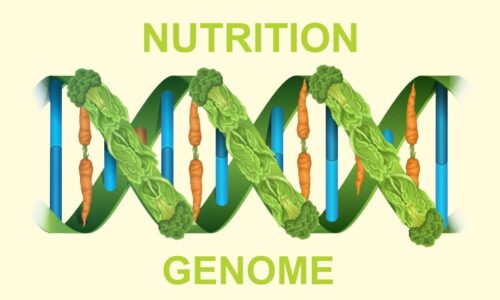 Nutrigenomics Market