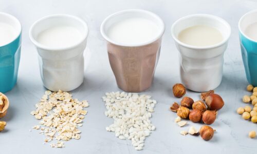 Plant-Based Protein Market