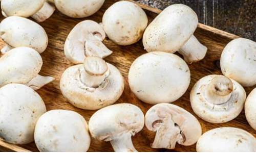 Mushroom market