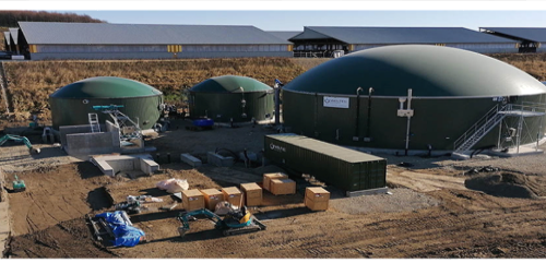 Biogas Market