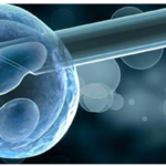 Preimplantation genetic testing market