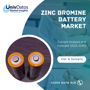 Mercato delle batterie al bromo di zinco