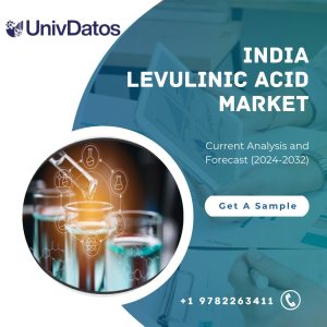 India Levulinic Acid Market: Current Analysis and Forecast (2024-2032)